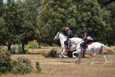 Spain-Central Spain-Extremadura Getaway